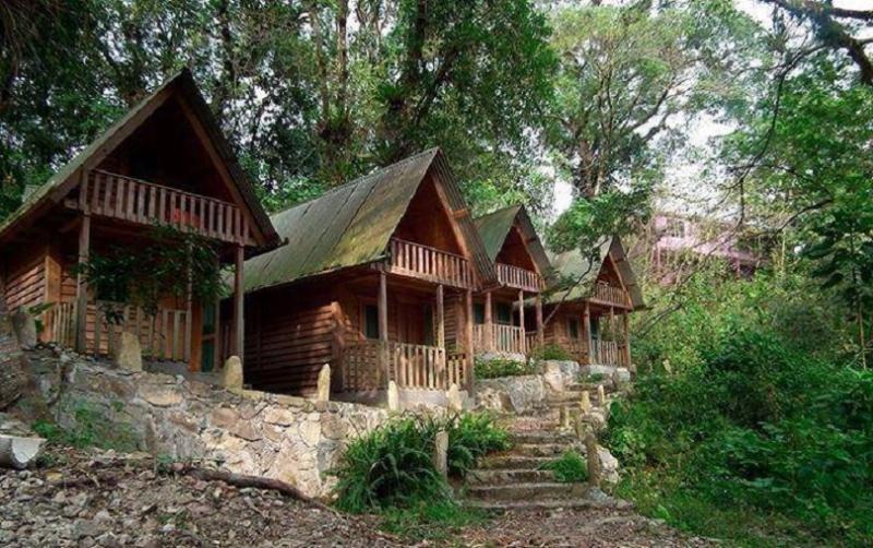 Casa Caracol Hotel San Luis Potosi Bagian luar foto
